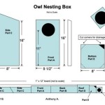 Creating The Perfect Owl House Plans And Ideas For Free Printable