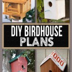 Easy Bird House Plans For Your Garden