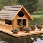 Floating Duck House Plans: A Guide To Building A Home For Your Ducks