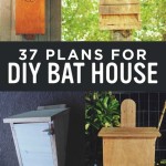 Plans To Build A Bat House