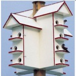 Purple Martin House Plans: Tips For Building A Home For These Fascinating Birds