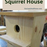 Squirrel House Plans: An In-Depth Guide